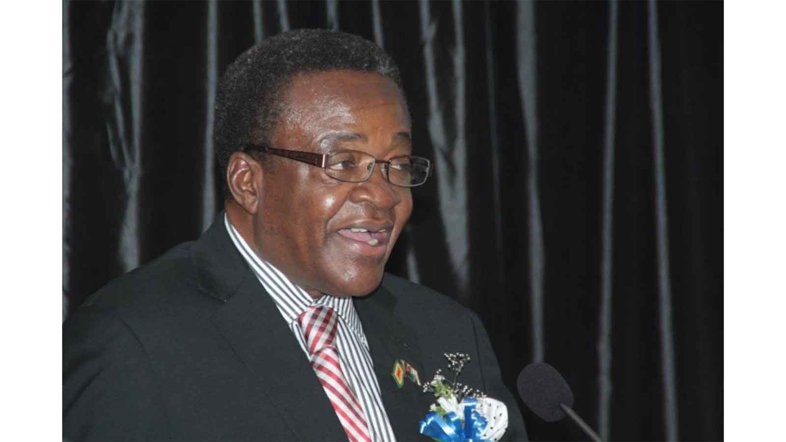 Parly welcomes UNSC seat