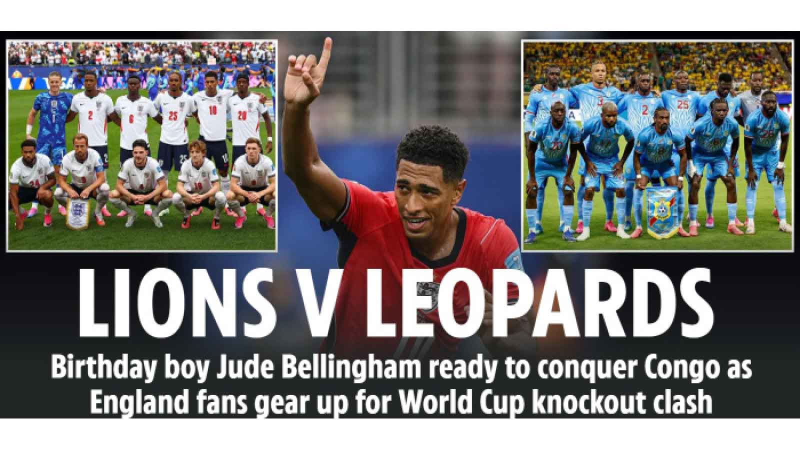 LIONS VS LEOPARDS