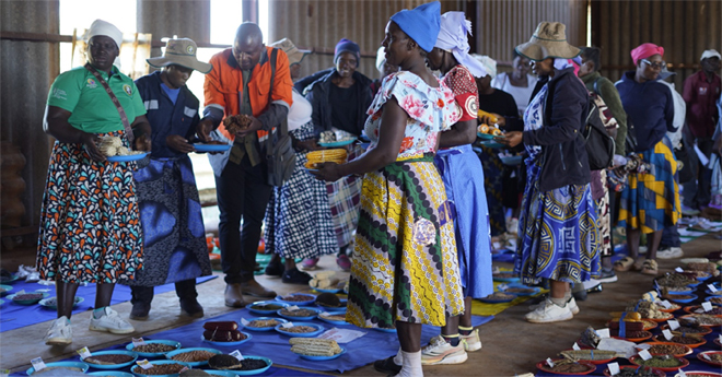 140 farmers exhibit traditional seed varieties in Chimanimani