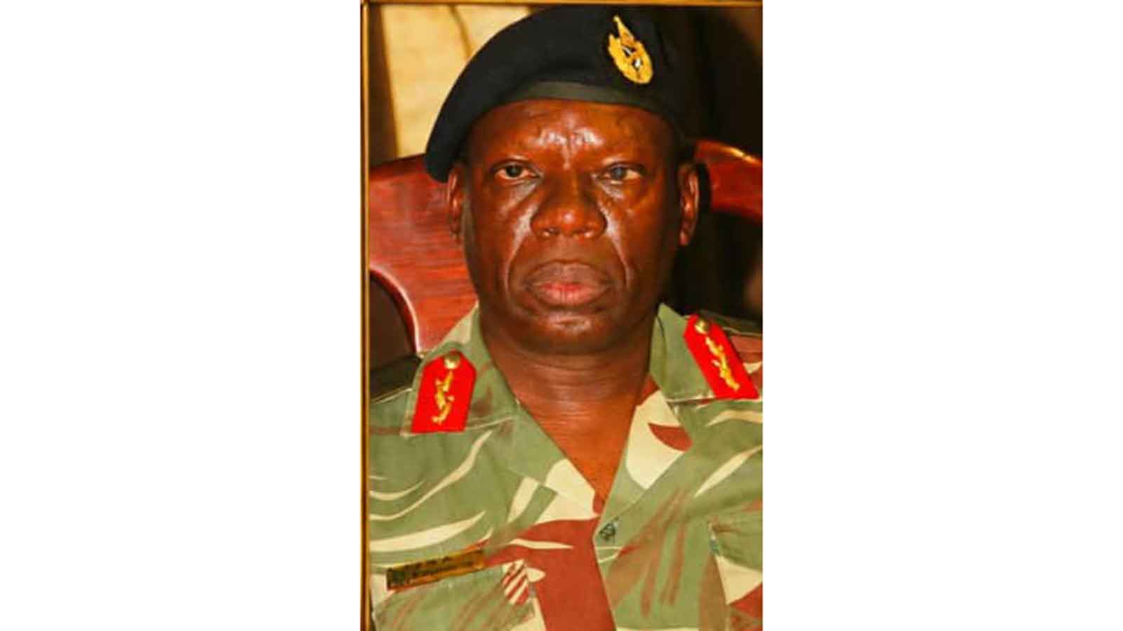 Retired Major General Dzihwema dies