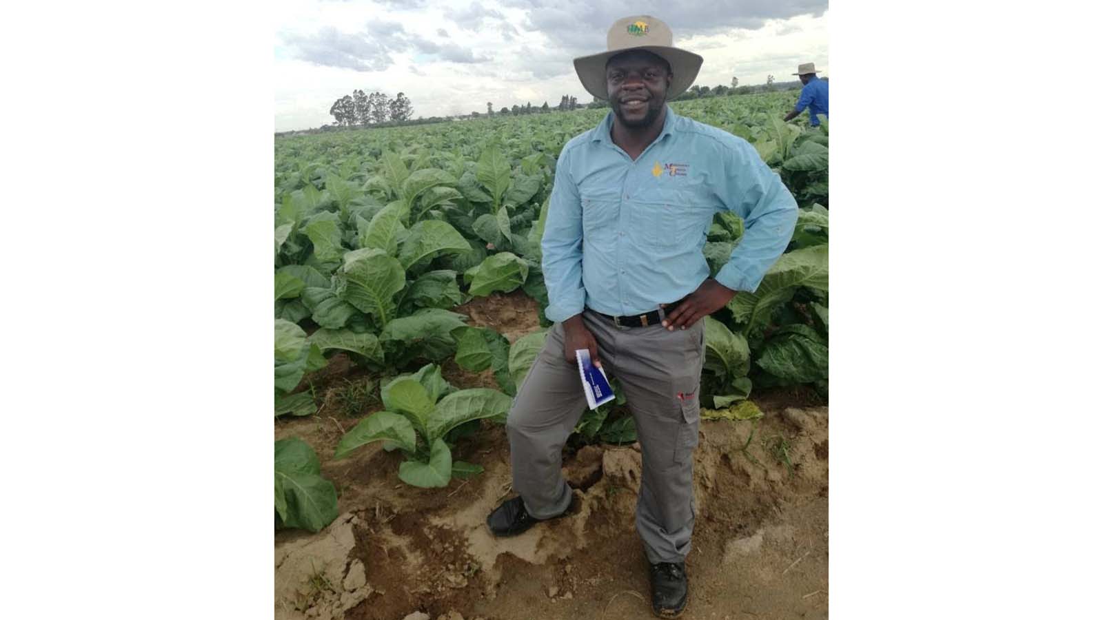 Sustainable curing fuel vital for Zimbabwe’s next tobacco growth phase