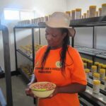 Mrs Muswehaurari shows groundnuts stored in the seed bank
