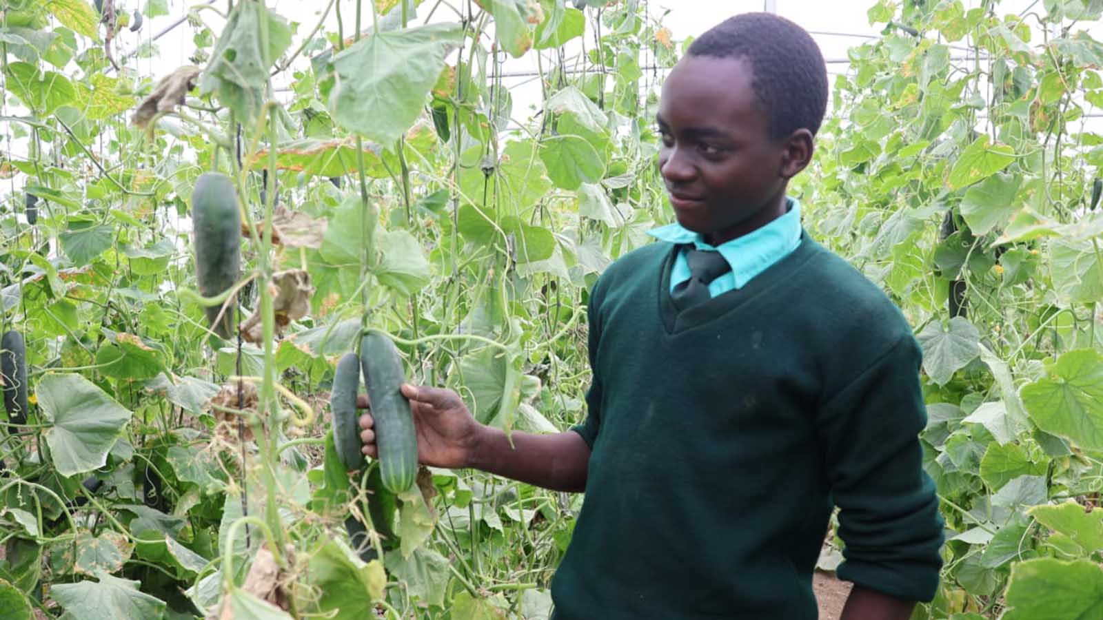 Greenhouse Project Cultivates Hope for Vulnerable Learners