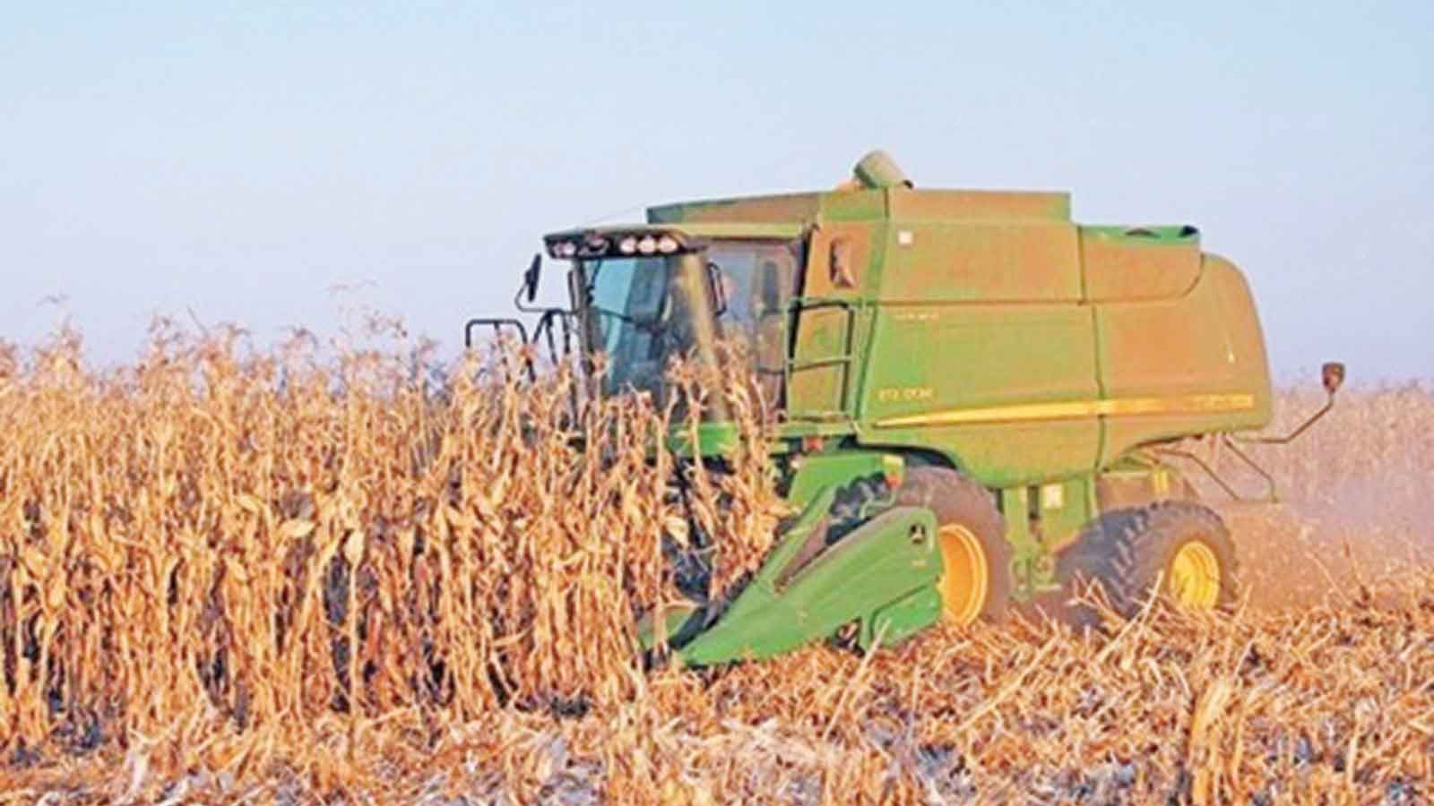 Post-harvest management tips for grain