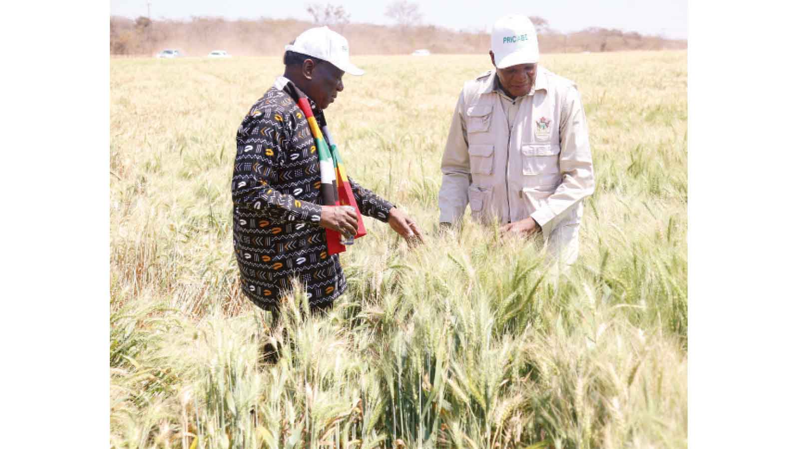 106 dams to unlock jobs, spur rural industrialisation