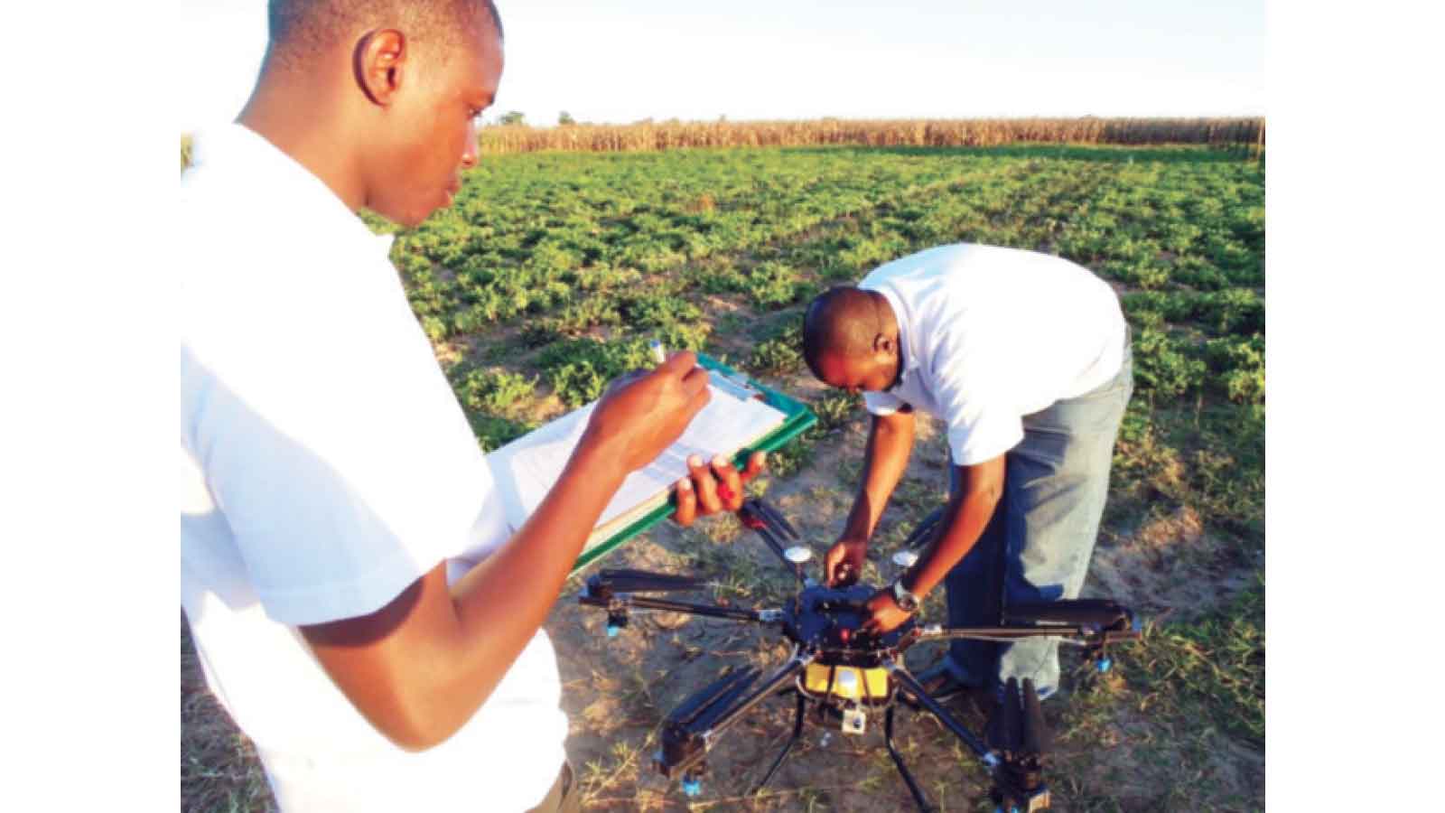 Cultivating a connected future for Zim’s agric sector