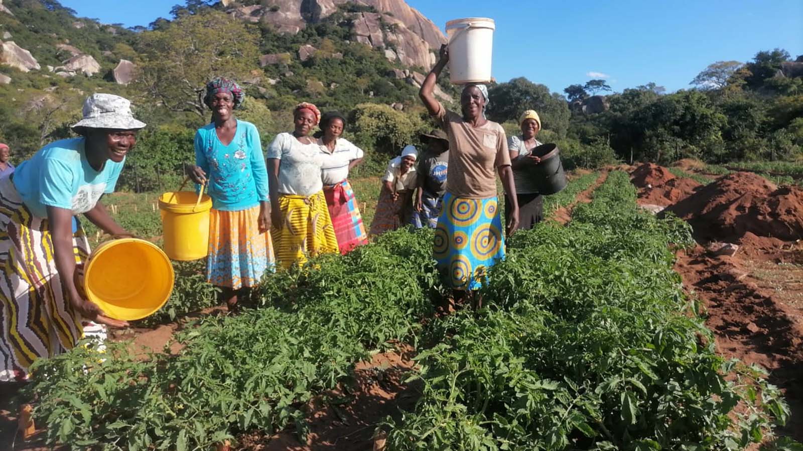 Bikita wetlands rehabilitation programme to benefit 1 000 households
