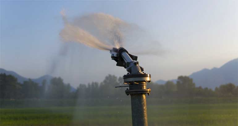 Armed pipe thieves cripple irrigation in Middle Sabi