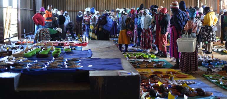 Cyclone Idai survivors rewrite rules of survival