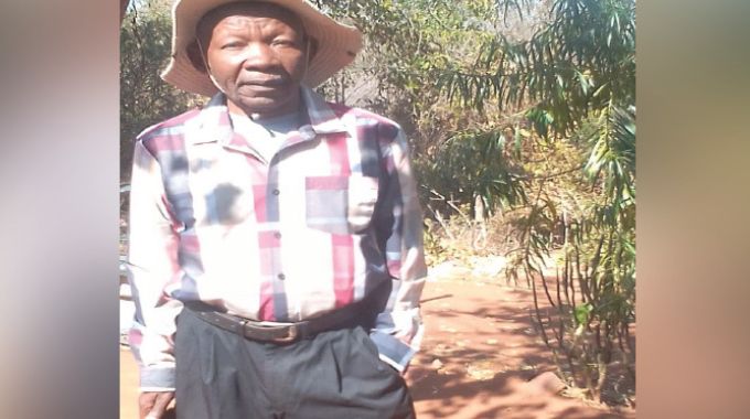 From eyesore  to oasis…The man greening Gwanda one seed  at a time
