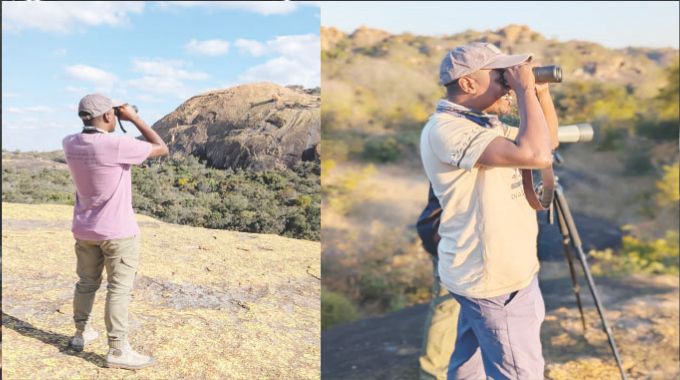 From Matobo eagles to Zambezi bee-eaters: How Zim’s rare, colourful birds are driving tourism growth