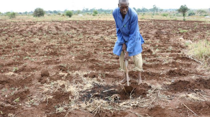 A2 farms, family rights and the law . . . A critique of Mutale v Nyikadzino through an African lens