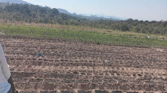 Umzingwane Ward 6 farmers turn drought struggle into opportunity with village gardens