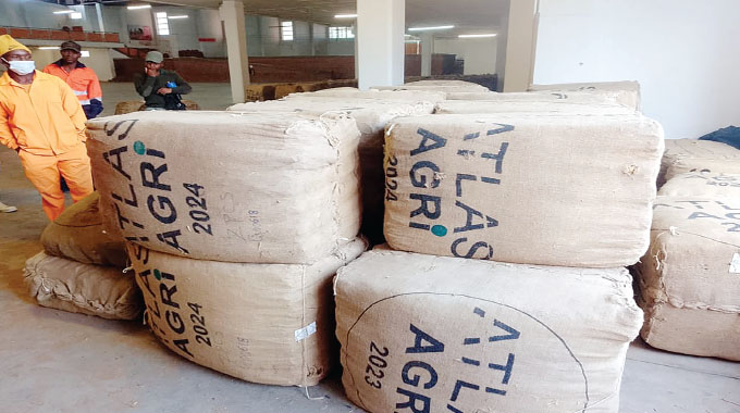 Khami Prison reaps big in maiden tobacco harvest