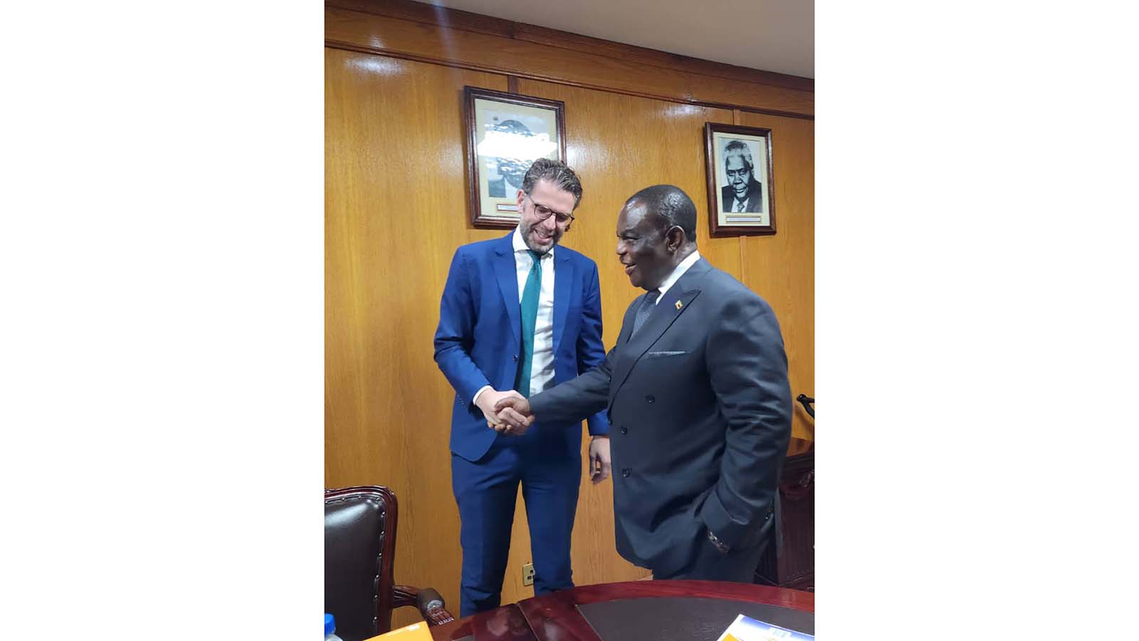 Zim’s UNSC election victory makes Dutch front pages as Europe backs Zimbabwe’s role
