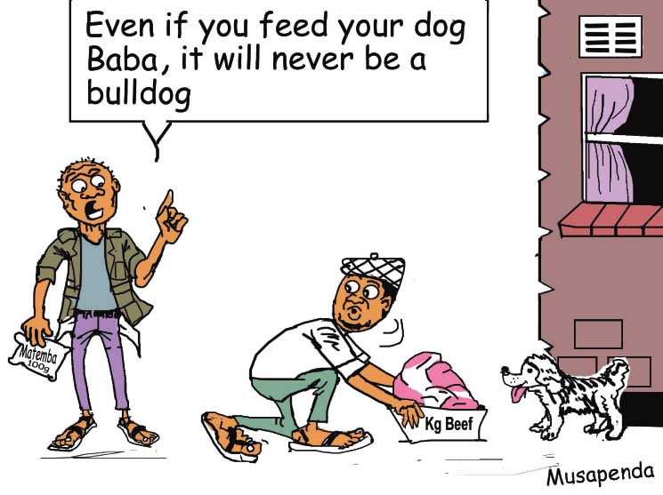 EDITORIAL CARTOON