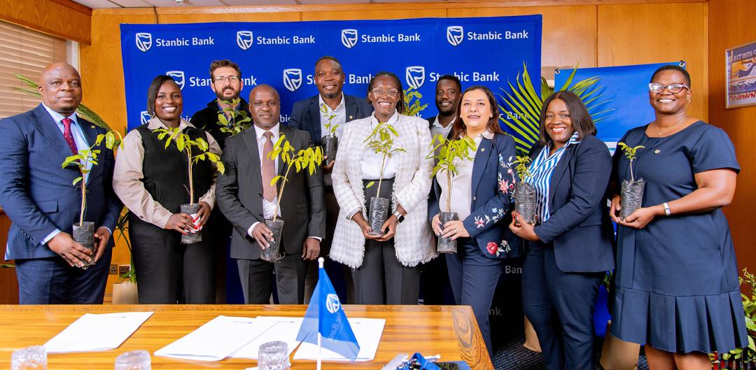 US$100 000 tree project links rural livelihoods to climate resilience