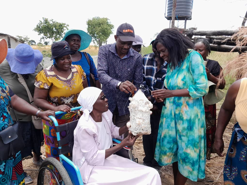 Disabled but no damper: Woman living with disability grows, sells mushroom