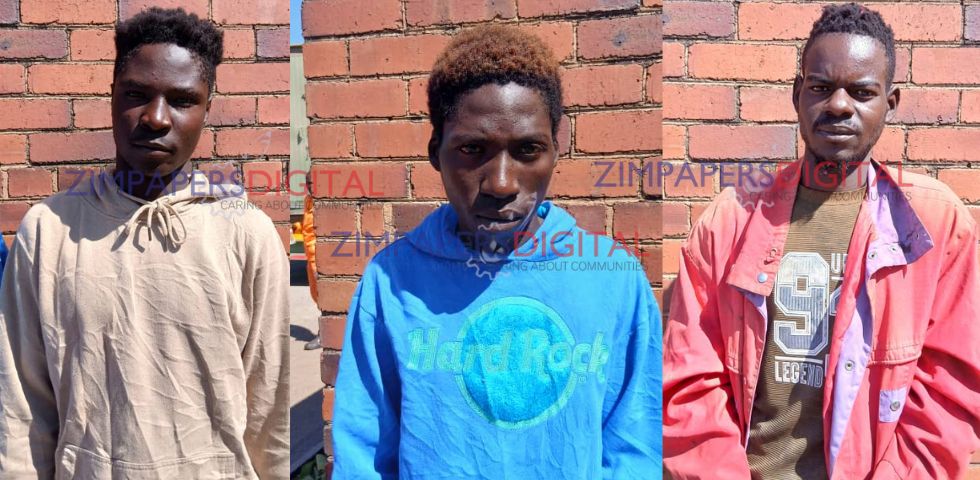 Pumula midnight murder: trio in court for stabbing man to death as two accomplices flee