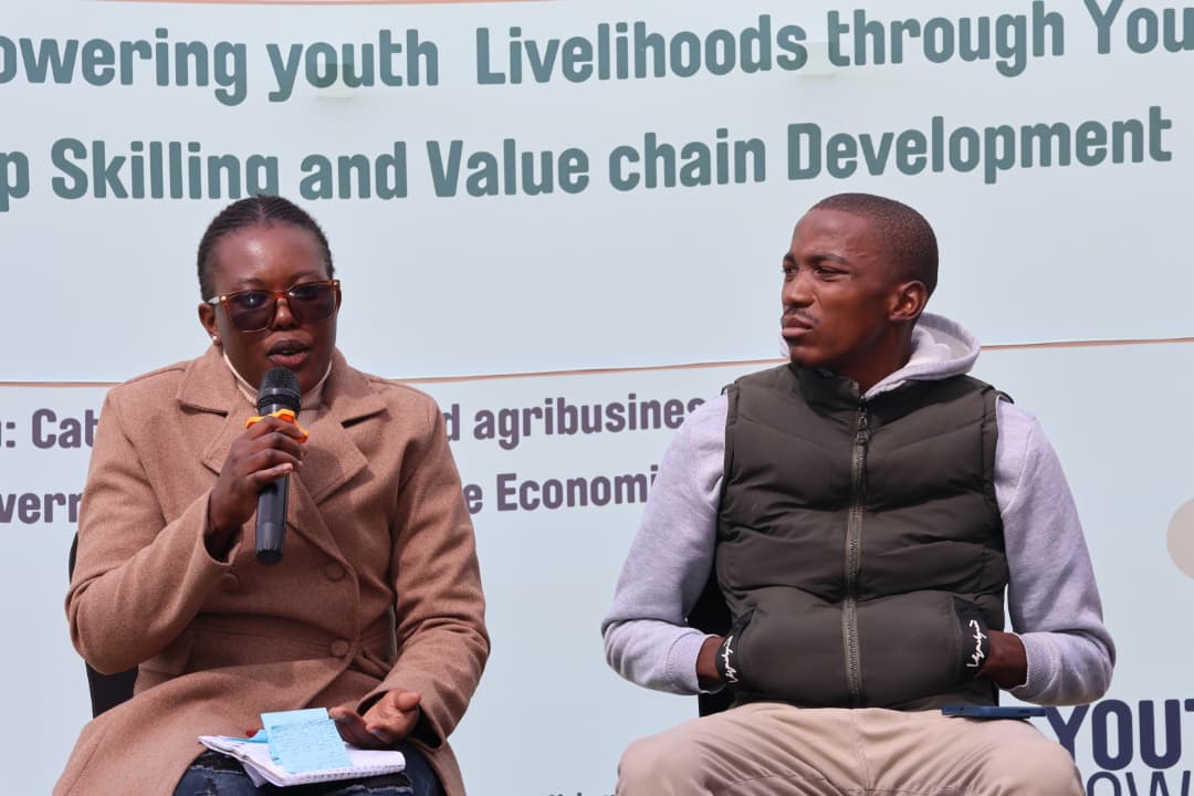 Young farmers thriving in numbers but constrained by structural barriers — researchers