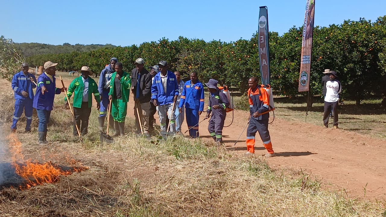 MSU takes frontline role in fighting veld fires