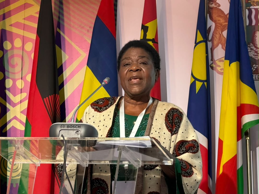 Zimbabwe reaffirms commitment to regional integration at SADC dialogue