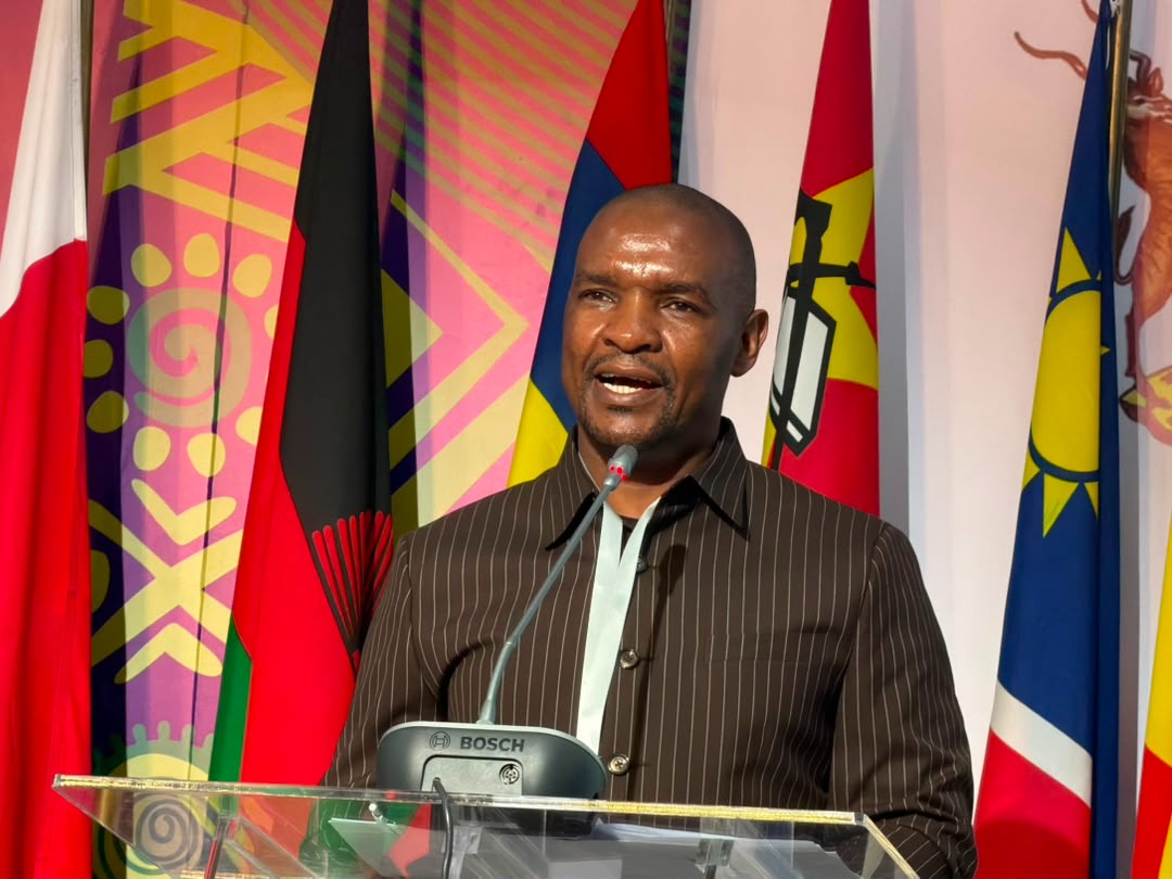 WATCH: SADC urged to accelerate regional integration through transport, ICTs and aviation reforms