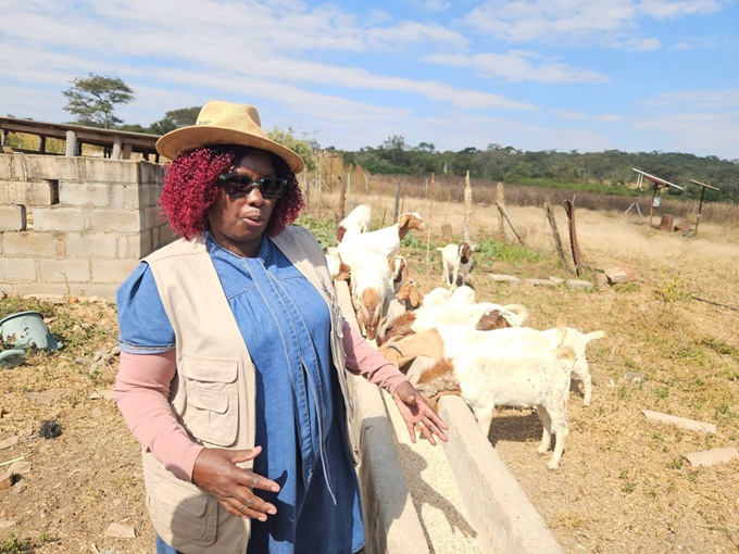 Farmers called on to start supplementary feeding