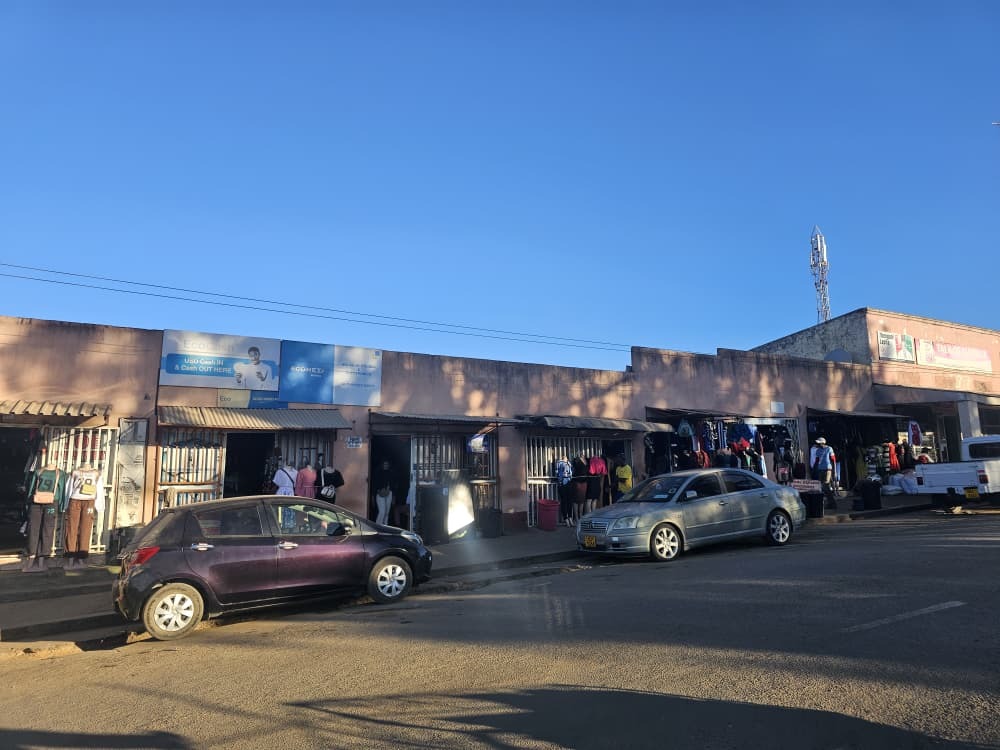 From Plan B to prosperity…The entrepreneurs powering Gwanda’s future