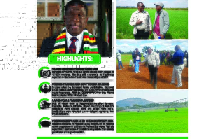 Manicaland powers past wheat goal