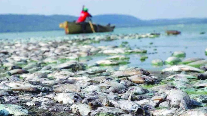 The hidden cost of industrial pollution
