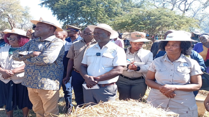 Home-grown stock feed success for Umzingwane farmer