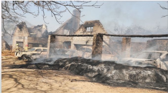 44 000 hectares  of land lost so far…