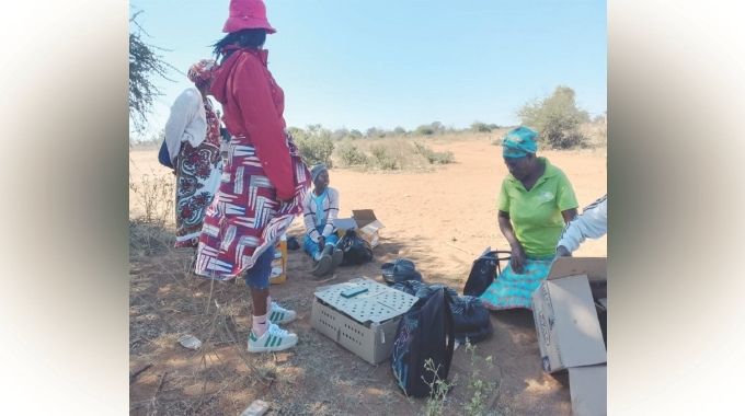 Villagers celebrate egg layer project