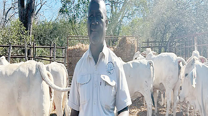 Matopos Gene Bank powers livestock breed revolution