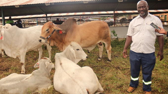 Brahman breeder spreads impact through free training
