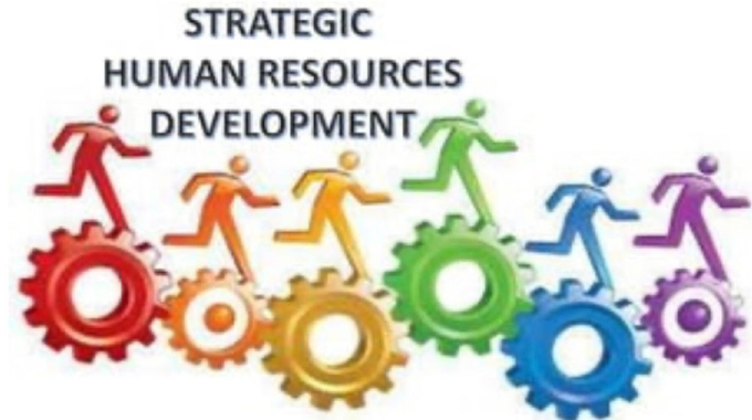 Navigating change: The struggles of Zimbabwe’s HR practitioners in a shifting economy