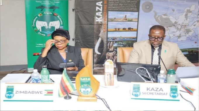 KAZA to embark on second massive wildlife census