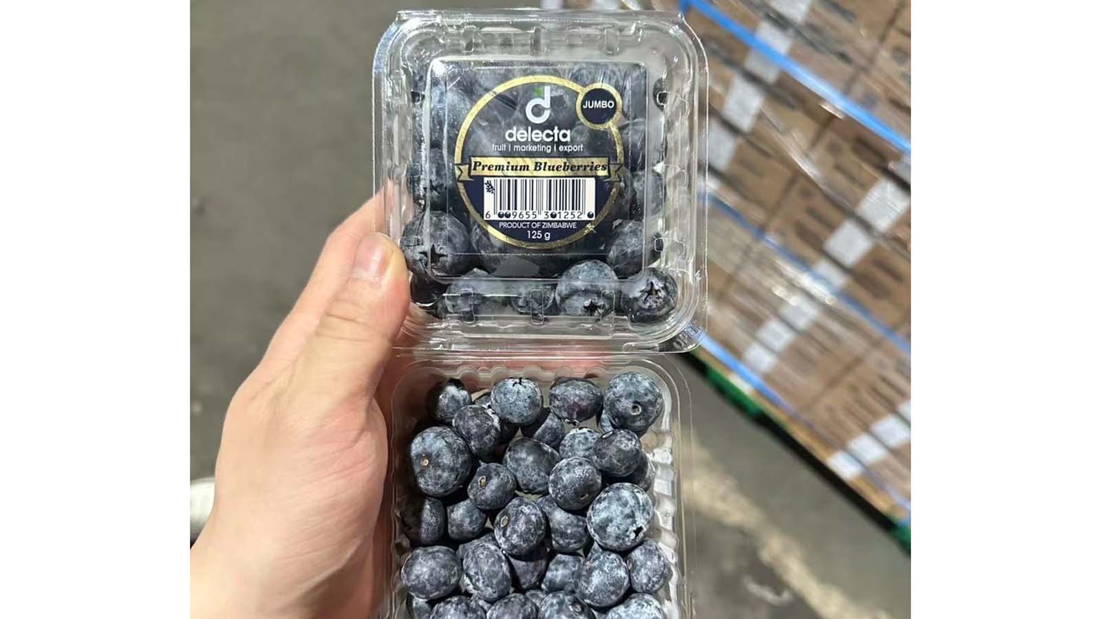 Zimbabwe ships first blueberries to China as new market opens