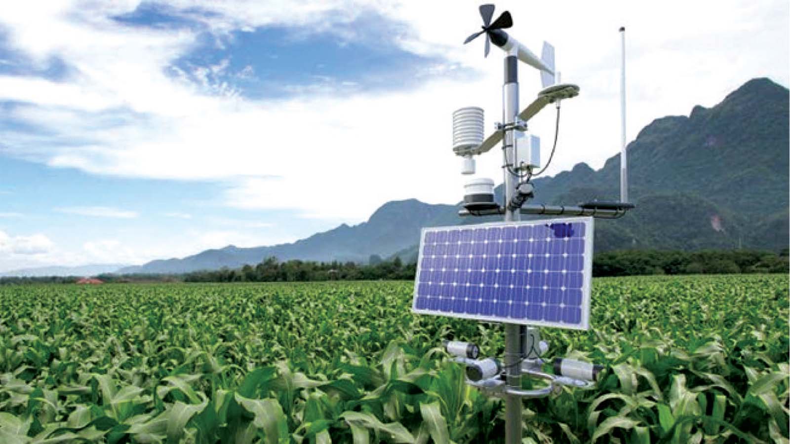 The market dividend of climate-smart agriculture