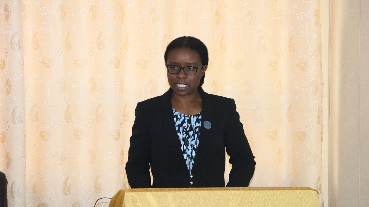 Public warned against fraudulent car import agents