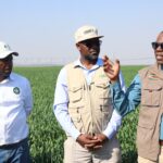 Mr Phibeon Mutibura (right) stresses a point while SGR 200ha Plus Club vice chairperson Mr Simba Mugariri (left) and GMB chief executive officer Mr Edson Badarai (centre) listen during a field tour of Pula Estates in Mazowe recently.