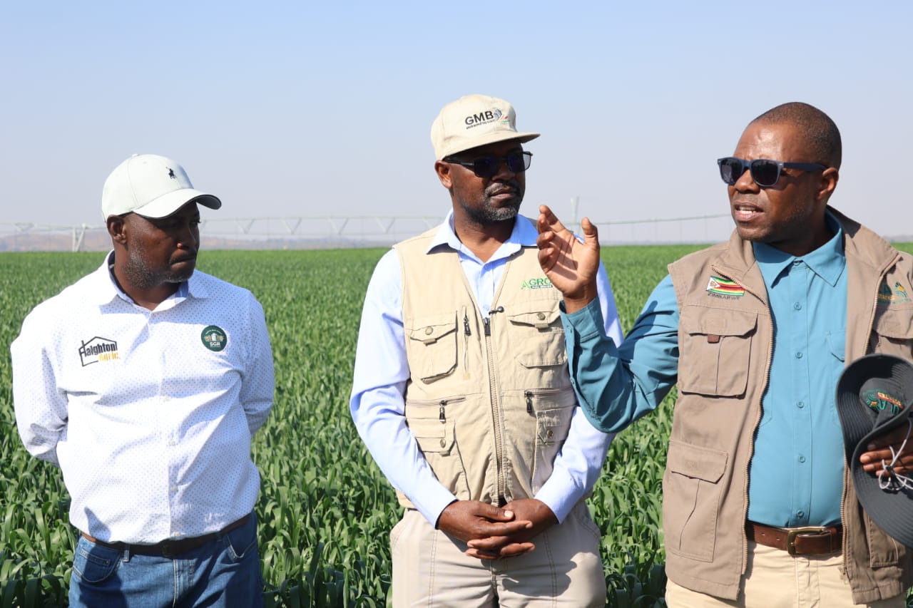  450 000 tonnes SGR target within reach – ARDA