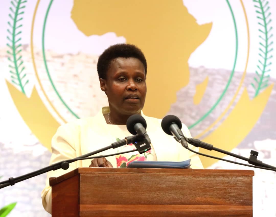 President Museveni applauds Zimbabwe for progress under APRM