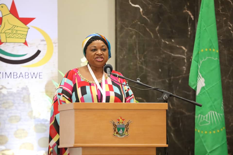 President Mnangagwa applauded for stance on value addition