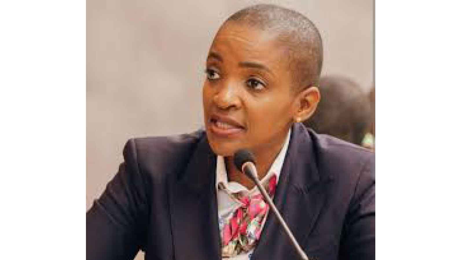 US diaspora eyes investment in tourism sector
