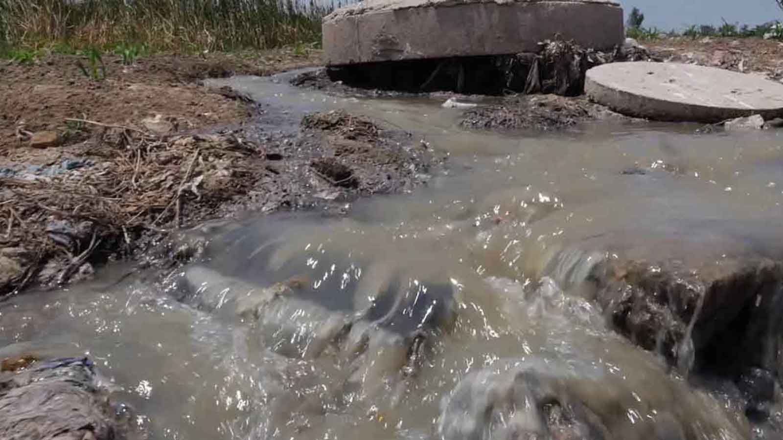 Fix sewer crisis, Chitungwiza Municipality told