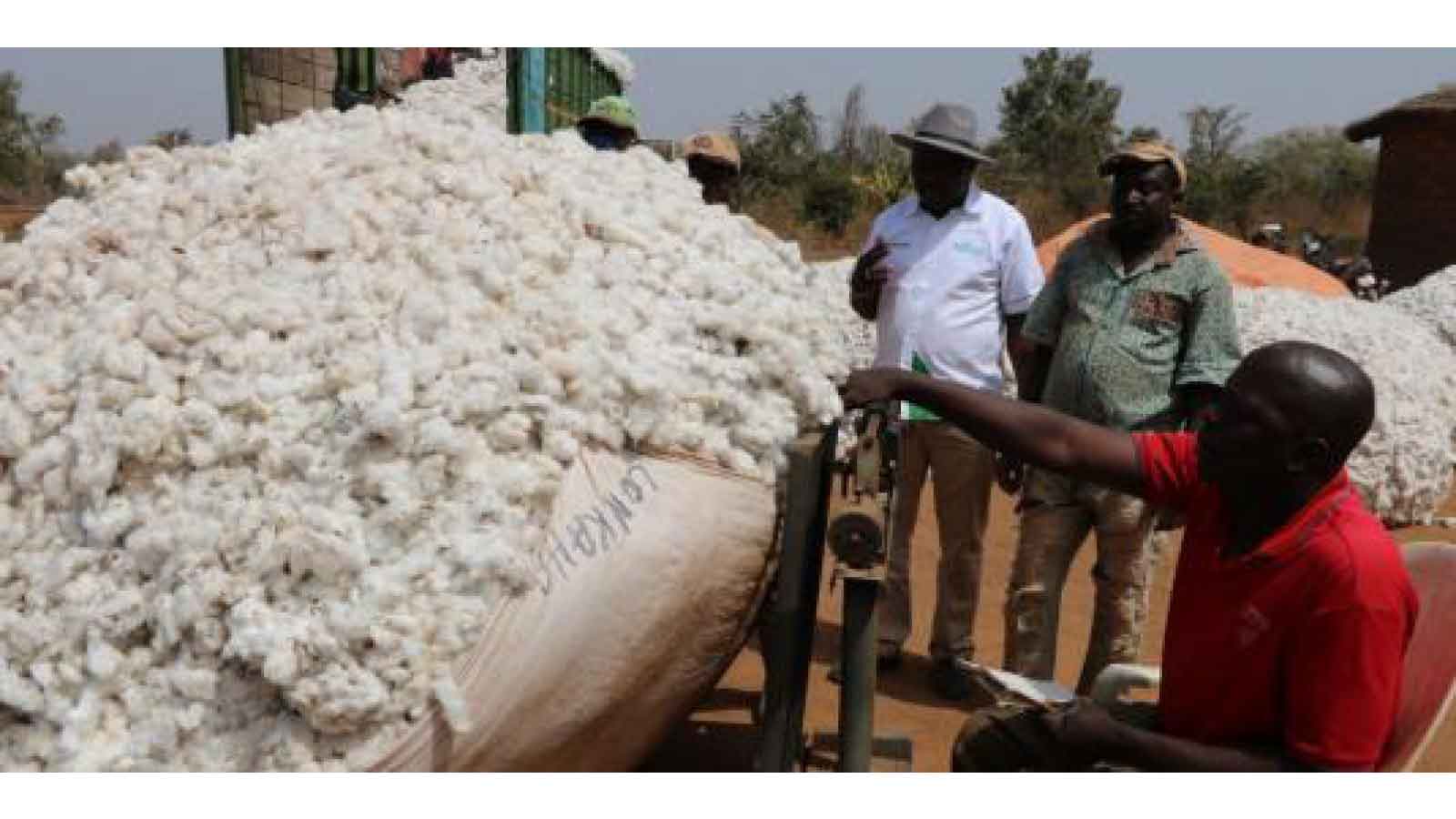 Contractors propose new  cotton production model