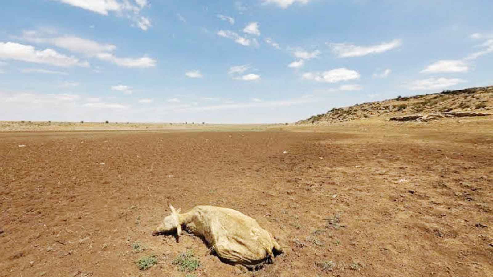 A Super El Niño is coming: How decades of adaptation have prepared Africa for the worst
