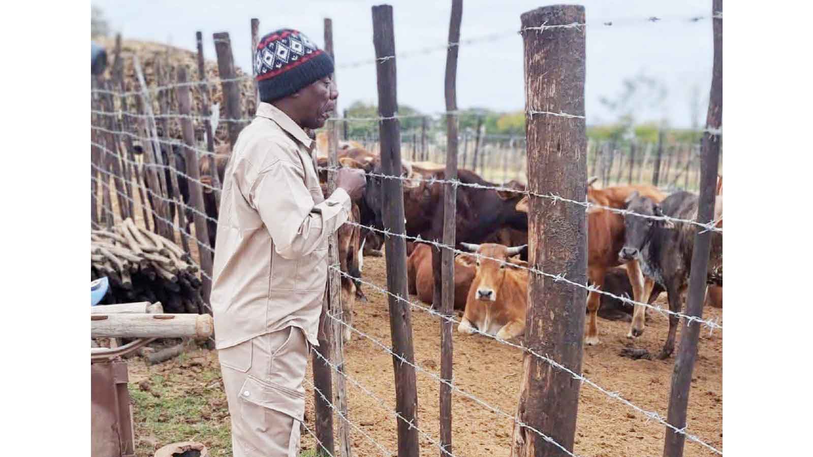 Celebrities, influencers in love with farming